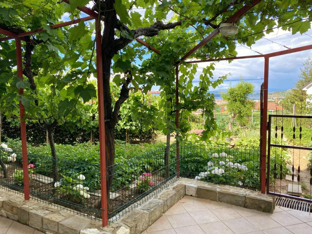 Apartment Gregoric Изола Екстериор снимка