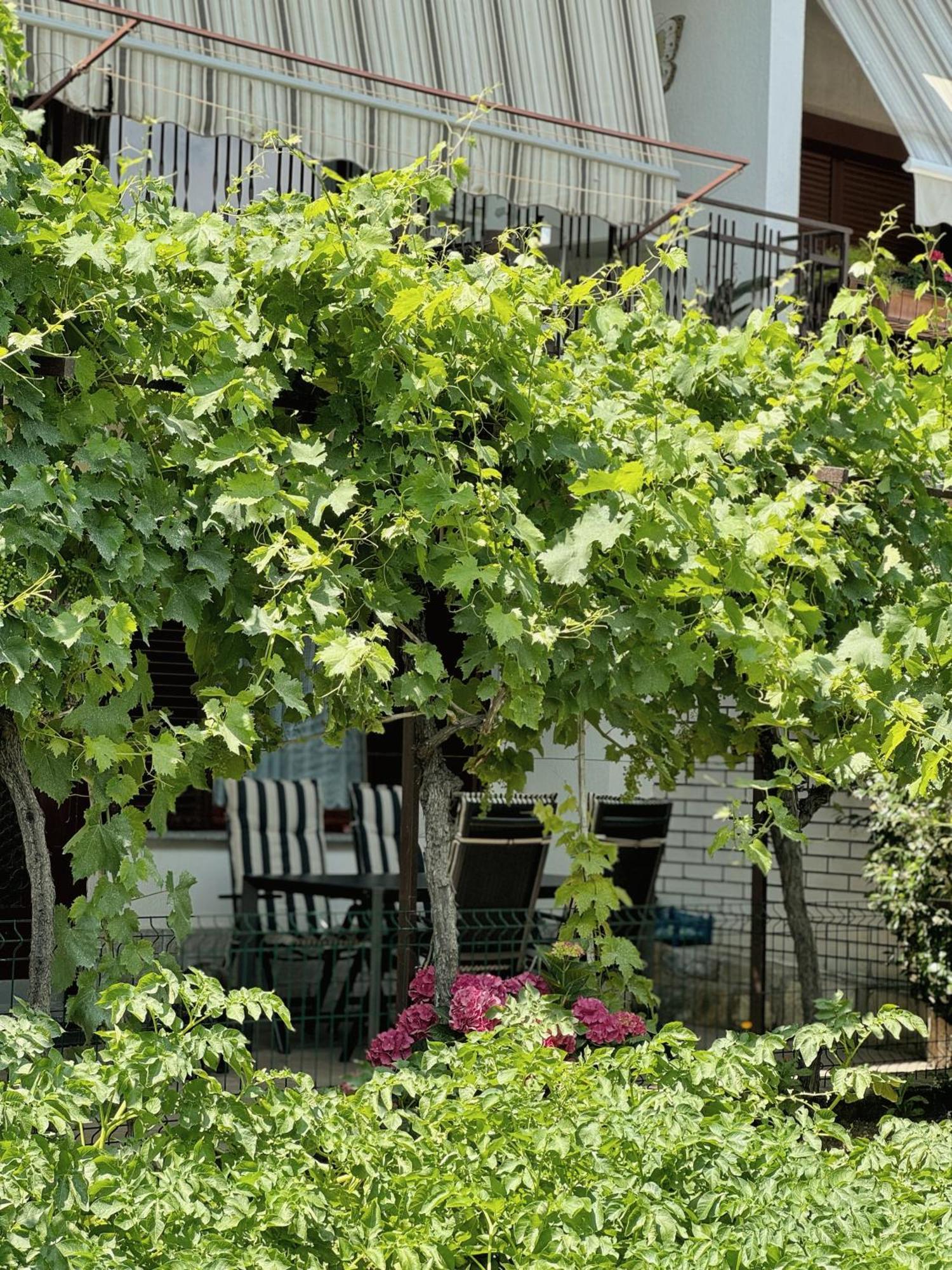 Apartment Gregoric Изола Екстериор снимка